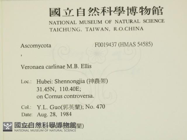 登錄號:F0019437藏品圖，第2張
