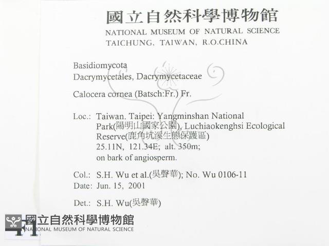 登錄號:F0013437藏品圖，第2張