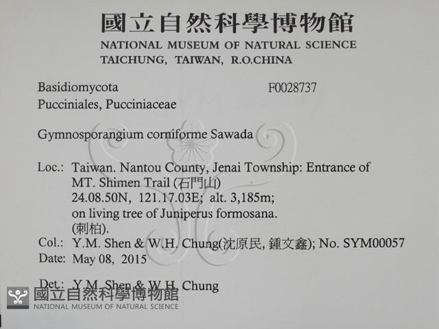 登錄號:F0028737藏品圖，第2張