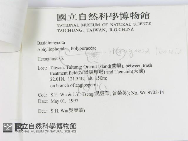 登錄號:F0008737藏品圖，第2張