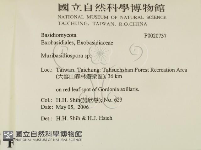 登錄號:F0020737藏品圖，第2張