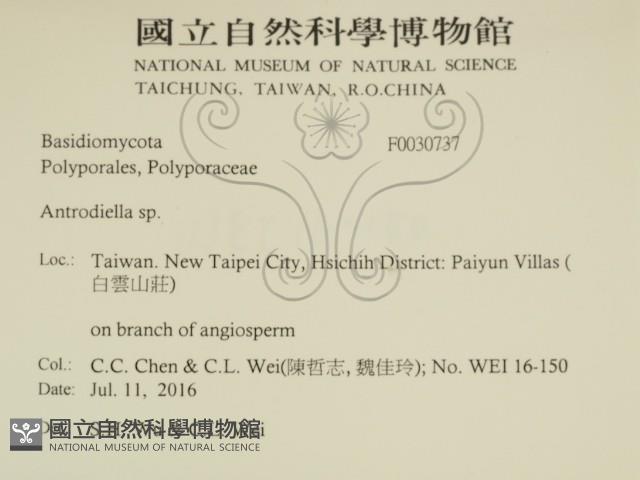 登錄號:F0030737藏品圖，第2張