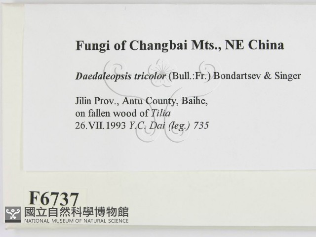 登錄號:F0006737藏品圖，第2張