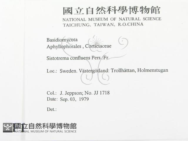 登錄號:F0016737藏品圖，第2張