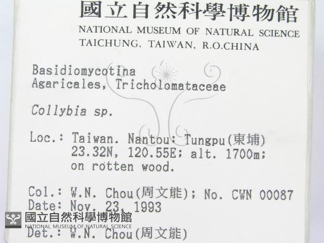登錄號:F0001737藏品圖，第2張