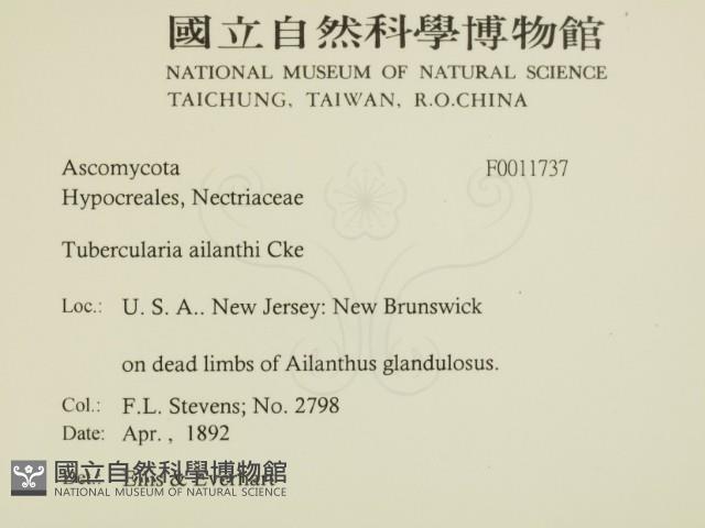 登錄號:F0011737藏品圖，第2張
