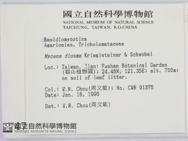 登錄號:F0004737藏品圖，第2張