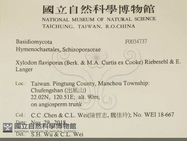 登錄號:F0034737藏品圖，第2張