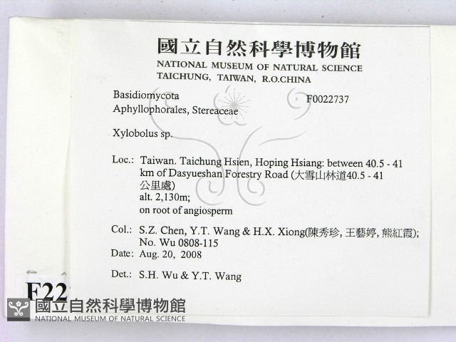 登錄號:F0022737藏品圖，第2張
