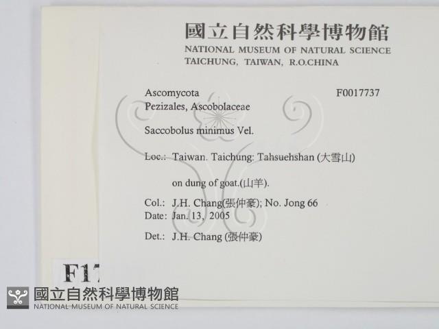 登錄號:F0017737藏品圖，第2張