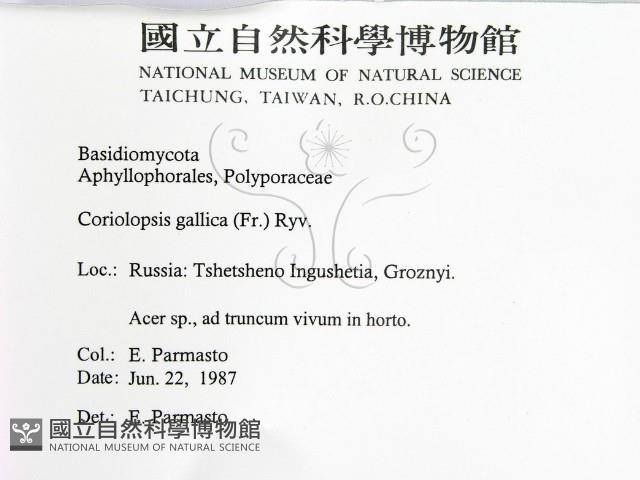 登錄號:F0015737藏品圖，第2張