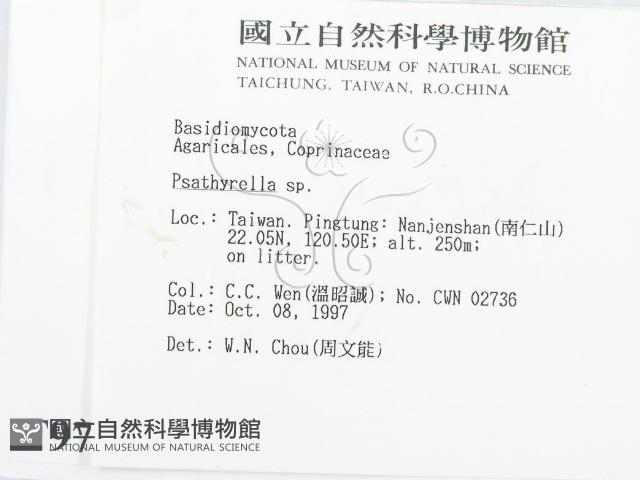 登錄號:F0009737藏品圖，第2張