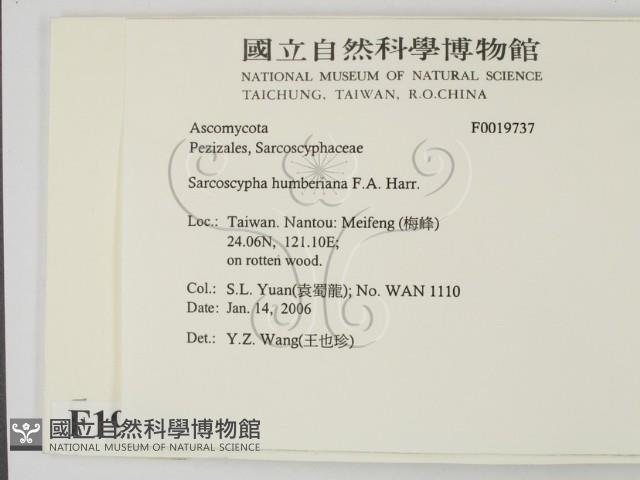 登錄號:F0019737藏品圖，第2張