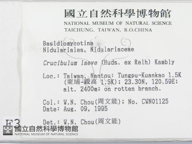 登錄號:F0003737藏品圖，第2張