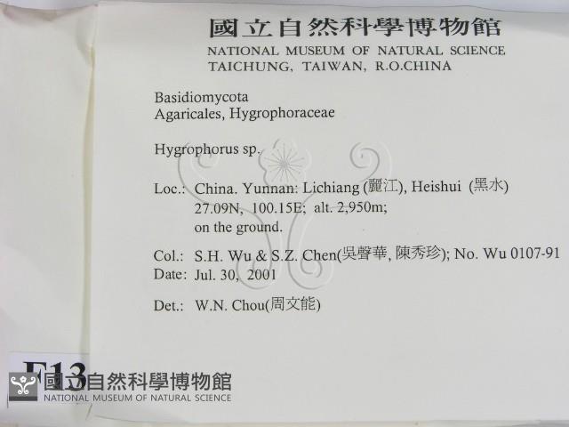登錄號:F0013737藏品圖，第2張