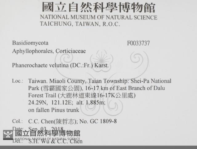 登錄號:F0033737藏品圖，第2張