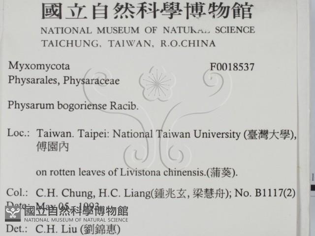 登錄號:F0018537藏品圖，第2張