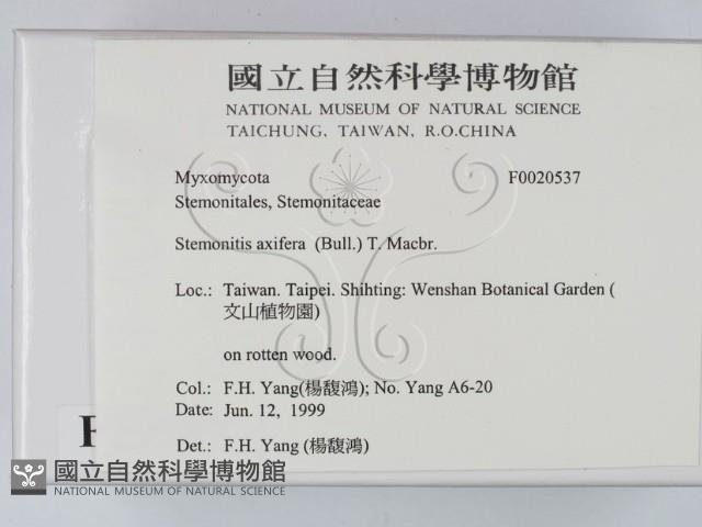 館號:F0020537藏品圖，第2張