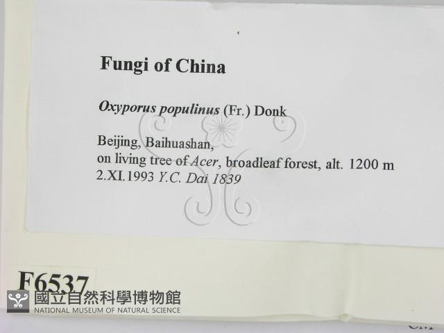 登錄號:F0006537藏品圖，第2張