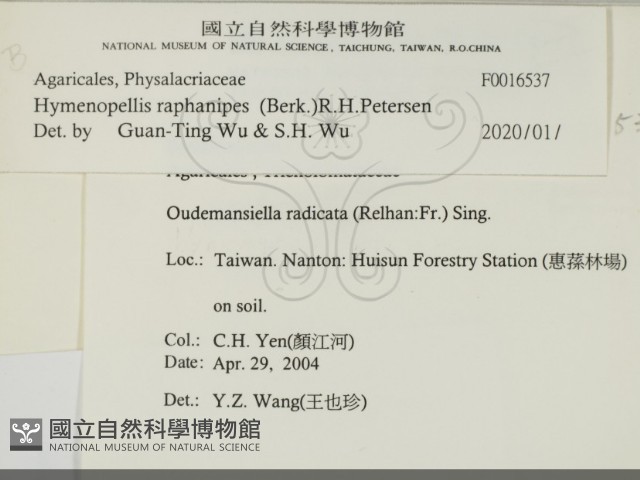 登錄號:F0016537藏品圖，第2張