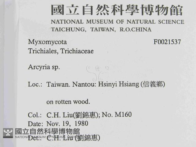登錄號:F0021537藏品圖，第2張