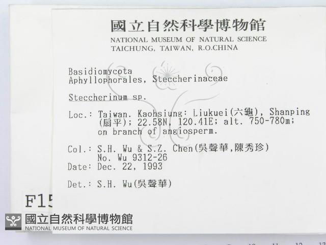 齒耳菌屬藏品圖，第2張