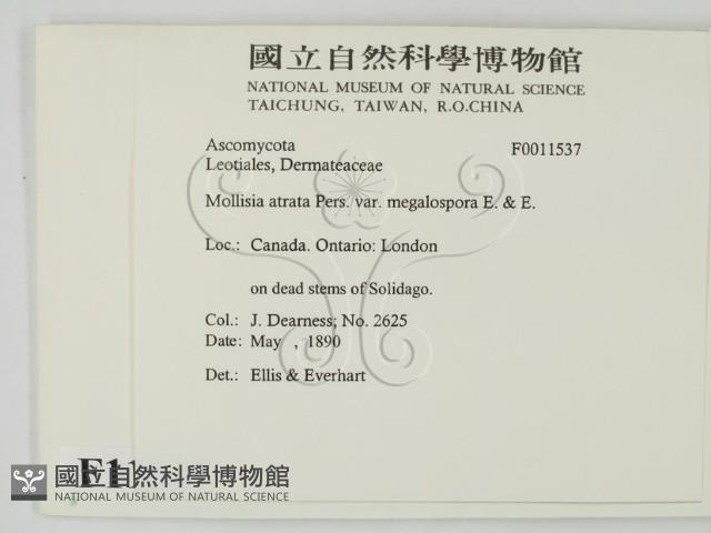 登錄號:F0011537藏品圖，第2張