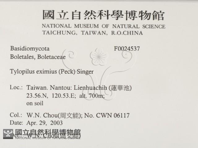 登錄號:F0024537藏品圖，第2張