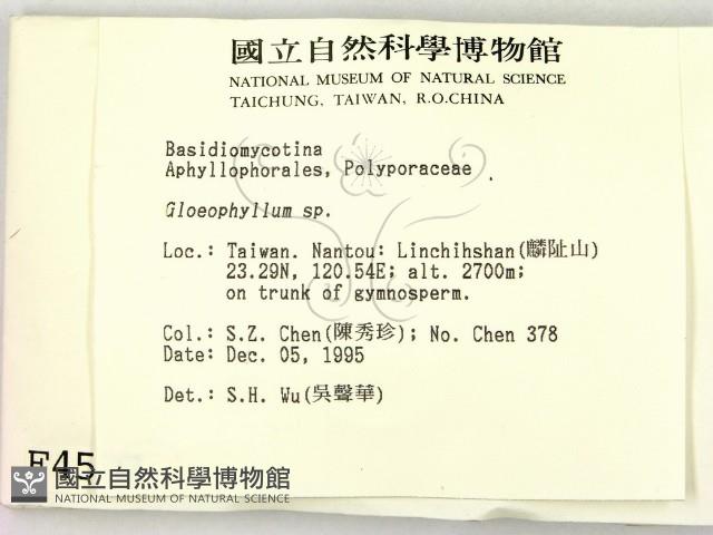 登錄號:F0004537藏品圖，第2張