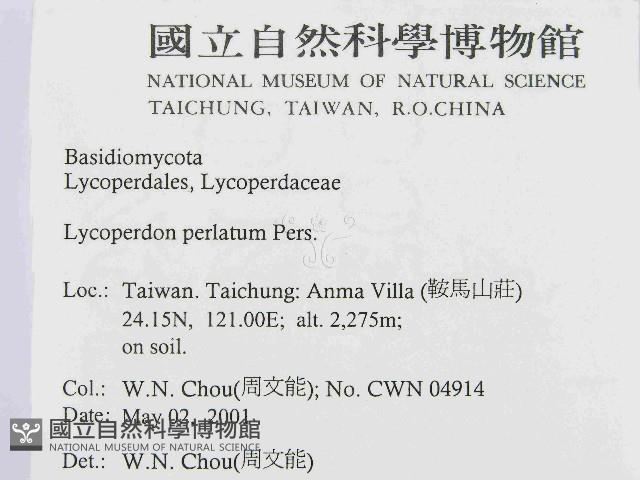 登錄號:F0014537藏品圖，第2張