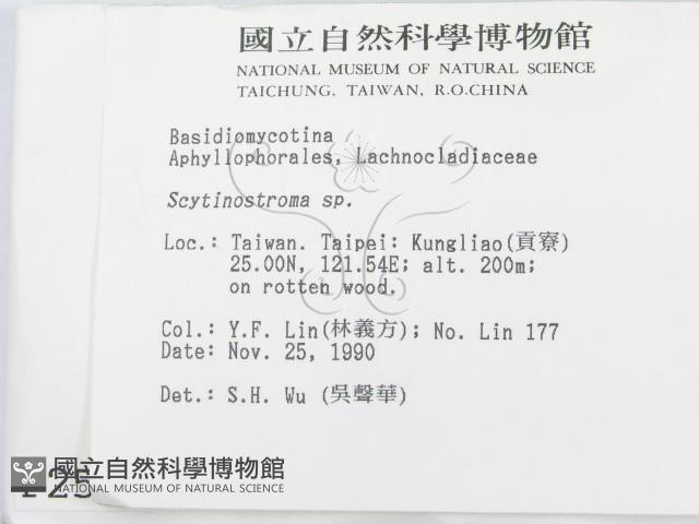 登錄號:F0002537藏品圖，第2張