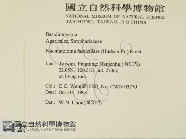 登錄號:F0012537藏品圖，第2張
