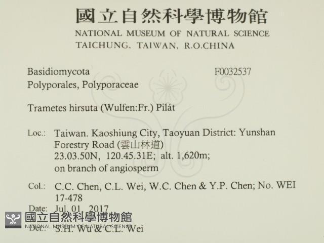 登錄號:F0032537藏品圖，第2張