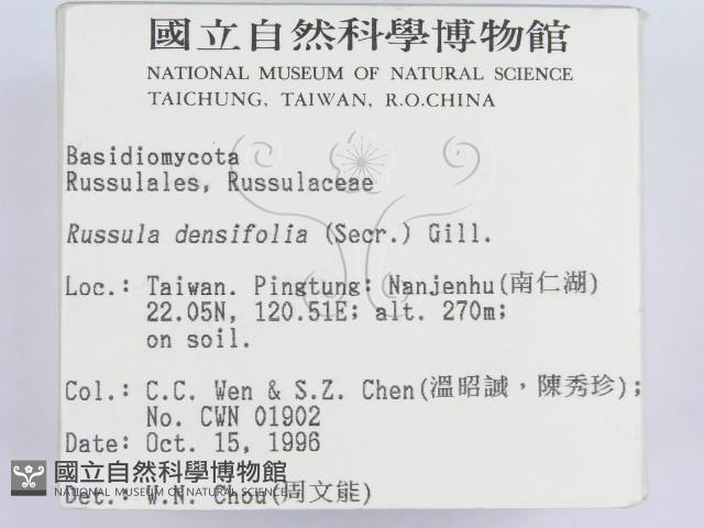 登錄號:F0005537藏品圖，第2張