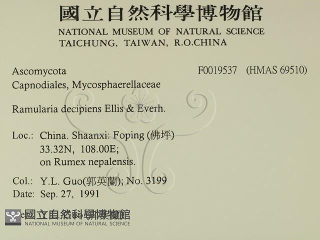登錄號:F0019537藏品圖，第2張