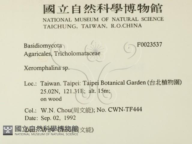 登錄號:F0023537藏品圖，第2張