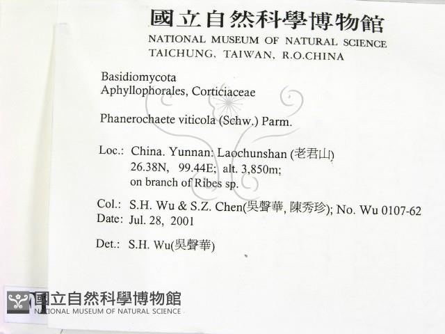 登錄號:F0013537藏品圖，第2張