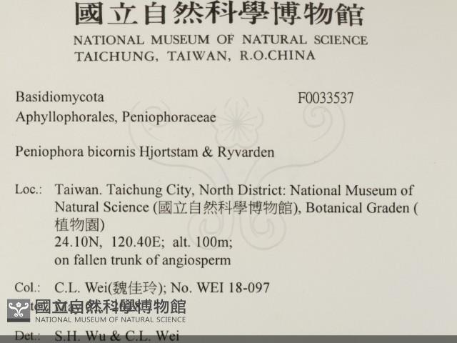 登錄號:F0033537藏品圖，第2張