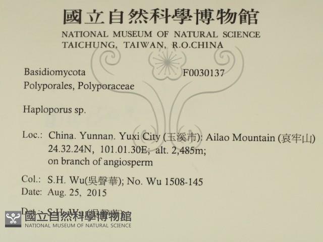 登錄號:F0030137藏品圖，第2張
