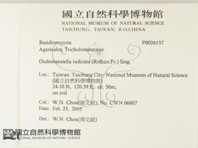 登錄號:F0026137藏品圖，第2張