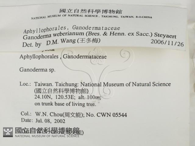 登錄號:F0016137藏品圖，第2張