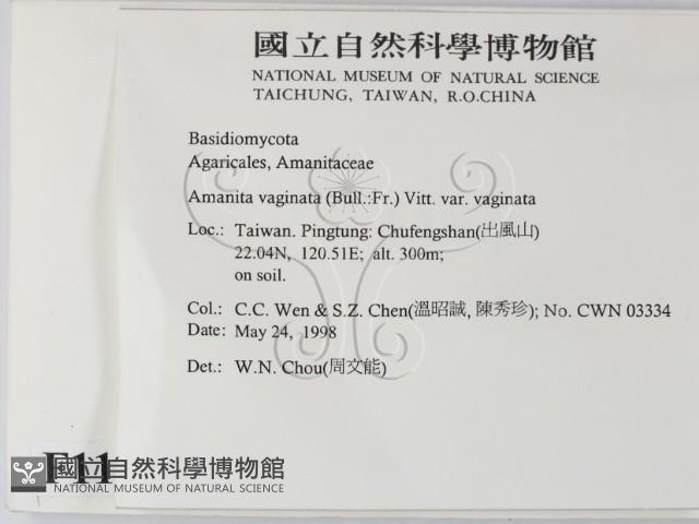 登錄號:F0011137藏品圖，第2張