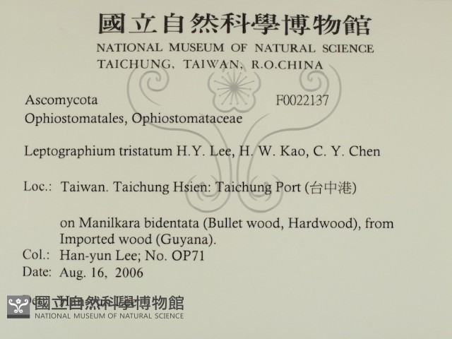 登錄號:F0022137藏品圖，第2張