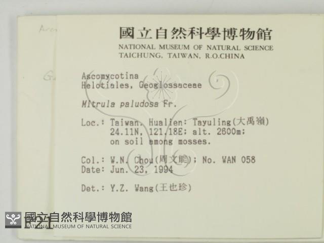 登錄號:F0002137藏品圖，第2張