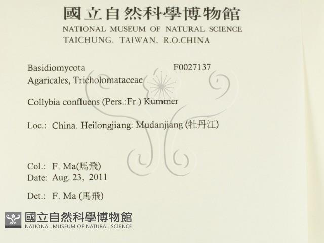 登錄號:F0027137藏品圖，第2張