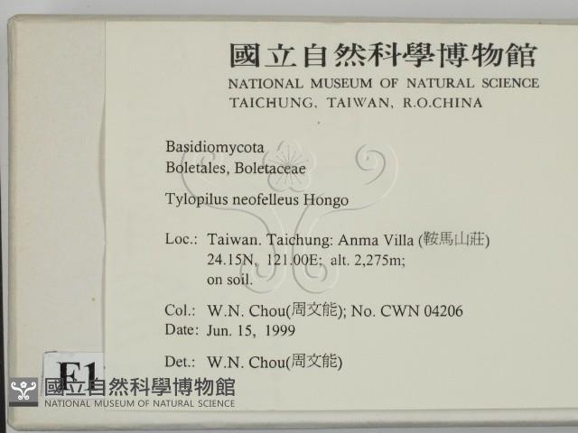 登錄號:F0013137藏品圖，第2張
