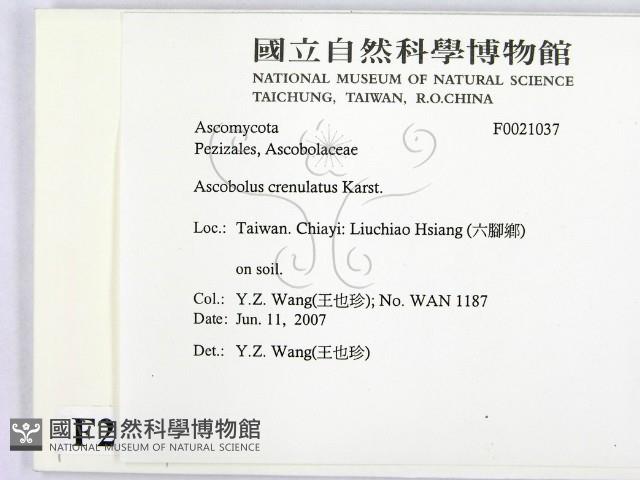登錄號:F0021037藏品圖，第2張