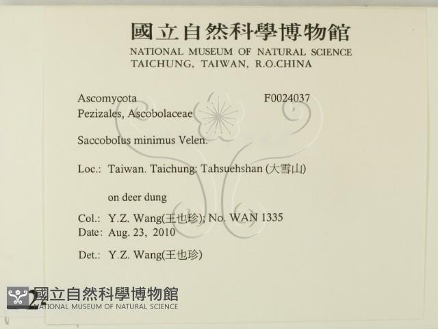 登錄號:F0024037藏品圖，第2張