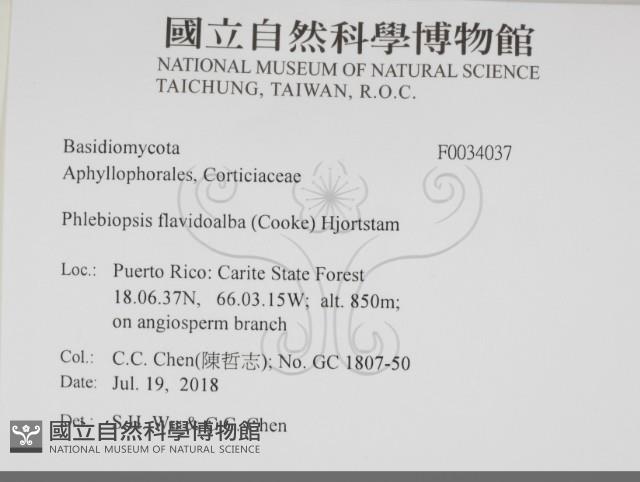 登錄號:F0034037藏品圖，第2張