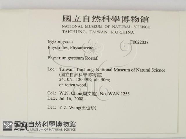 登錄號:F0022037藏品圖，第2張